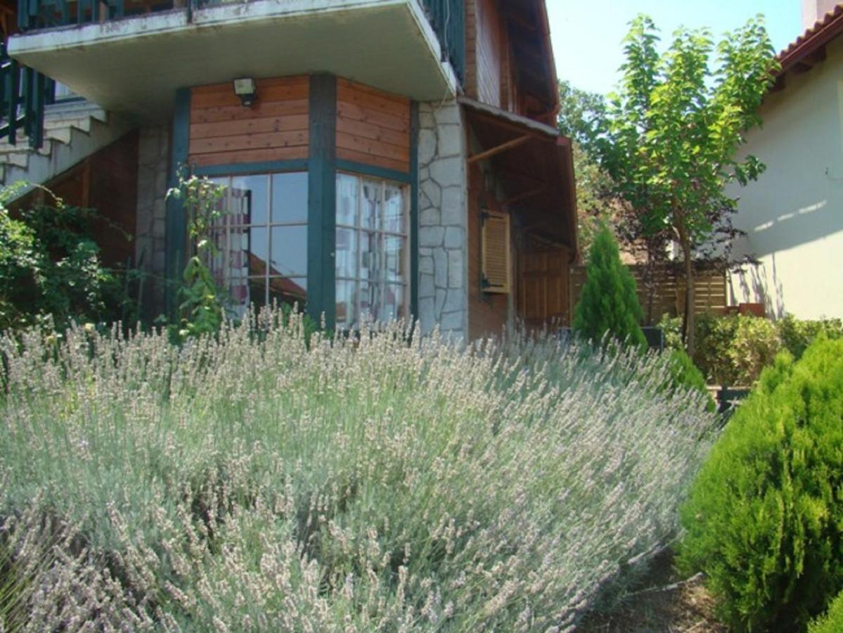 Zeus-Village Οικισμός Φινλανδικών Chalet Με Πισίνες & Γυμναστήριο Molos  Pokoj fotografie
